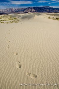 Saline-Valley-Sand-Dunes-Saline-Valley-Death-Valley-Nationalpark-Californien-127-199x300 Saline Valley Sand Dunes