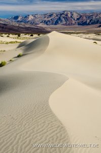 Saline-Valley-Sand-Dunes-Saline-Valley-Death-Valley-Nationalpark-Californien-31-199x300 Saline Valley Sand Dunes