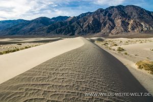 Saline-Valley-Sand-Dunes-Saline-Valley-Death-Valley-Nationalpark-Californien-40-300x200 Saline Valley Sand Dunes