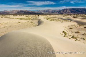 Saline-Valley-Sand-Dunes-Saline-Valley-Death-Valley-Nationalpark-Californien-51-300x200 Saline Valley Sand Dunes