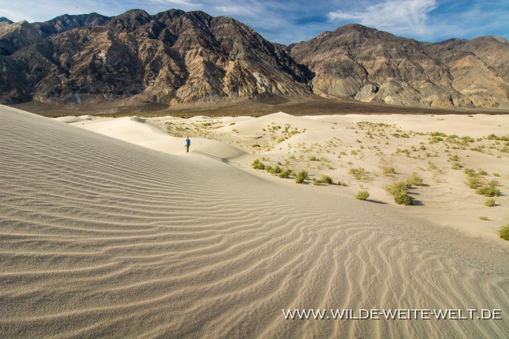 Saline Valley Sand Dunes www.wildeweitewelt.de