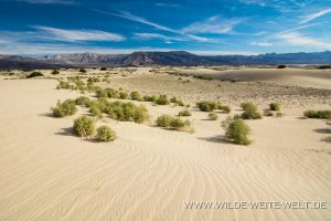 Saline-Valley-Sand-Dunes-Saline-Valley-Death-Valley-Nationalpark-Californien-80-300x200 Saline Valley Sand Dunes