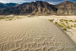 Saline-Valley-Sand-Dunes-Saline-Valley-Death-Valley-Nationalpark-Californien-85-300x200 Saline Valley Sand Dunes
