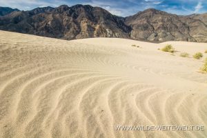 Saline-Valley-Sand-Dunes-Saline-Valley-Death-Valley-Nationalpark-Californien-88-300x200 Saline Valley Sand Dunes