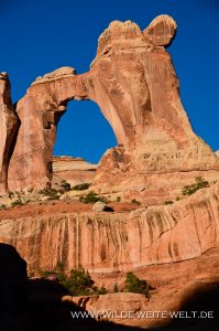 Angel-Arch-Canyonlands-Nationalpark-Needles-District-Utah-24-199x300 Angel Arch