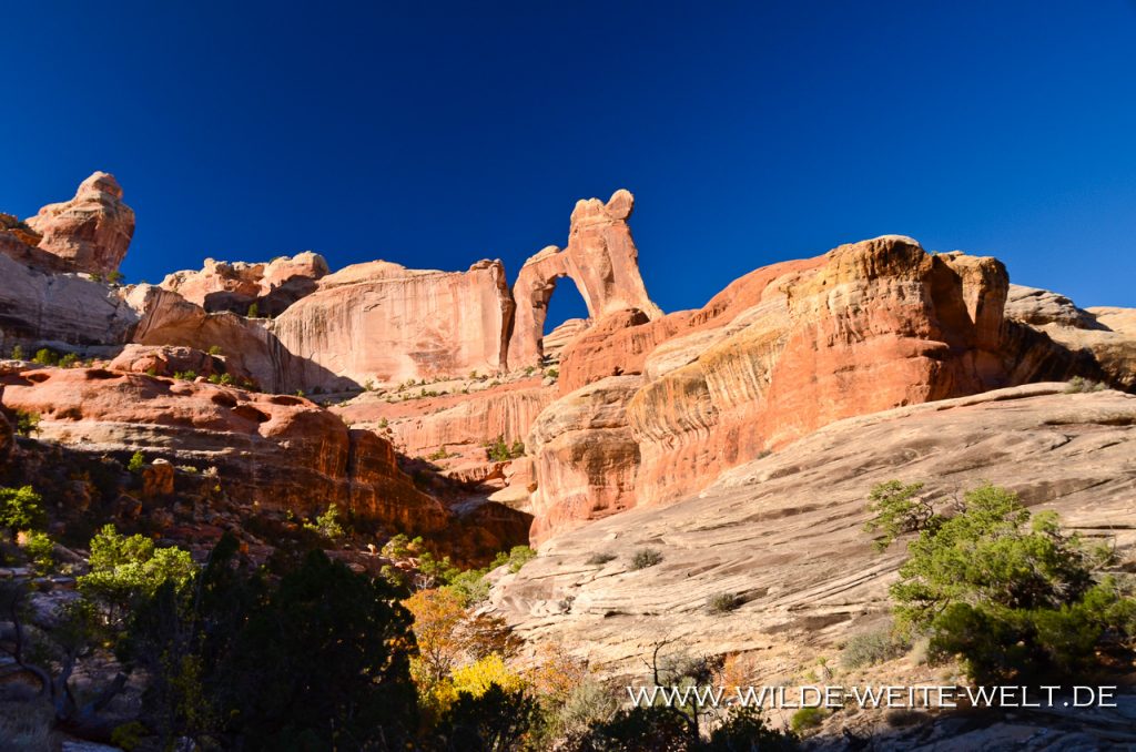 Angel-Arch-mit-Molar-Rock-Canyonlands-Nationalpark-Needles-District-Utah-27 Angel Arch [Canyonlands National Park]
