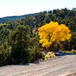 Posey-Lake-Hells-Backbone-Road-Dixie-National-Forest-Utah Hells Backbone Road