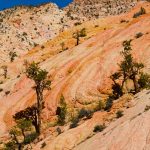 Posey-Lake-Hells-Backbone-Road-Dixie-National-Forest-Utah Hells Backbone Road