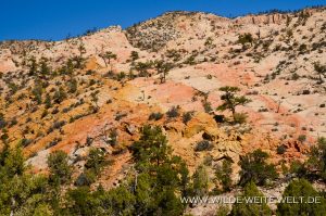 Hells-Backbone-Road-Dixie-National-Forest-Utah-8-300x199 Hells Backbone Road