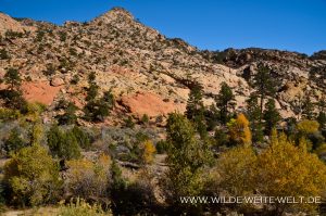 Hells-Backbone-Road-Dixie-National-Forest-Utah-9-300x199 Hells Backbone Road