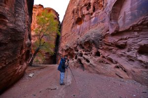 Little-Death-Hollow-Grand-Staircase-Escalente-National-Monument-Utah-4-300x199 Little Death Hollow