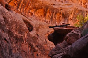 Little-Death-Hollow-Grand-Staircase-Escalente-National-Monument-Utah-40-300x199 Little Death Hollow
