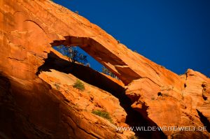 Watercanyon-Arch-aka-Eye-of-Heaven-Arch-Watercanyon-Canaan-Mountains-Hildale-Utah-8-300x199 Watercanyon Arch aka Eye of Heaven Arch