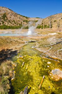 Imperial-Geyser-Yellowstone-Fairy-Falls-und-Imperial-Geyser-Trail-199x300 Imperial Geyser