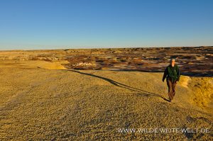 Way-back-from-King-of-Wings-Ah-She-Sle-Pah-New-Mexico-300x199 Way back from King of Wings