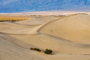 Mesquite-Dunes-Death-Valley-Nationalpark-California-34-300x199 Mesquite Dunes