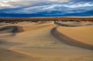 Mesquite-Dunes-Death-Valley-Nationalpark-California-44-300x199 Mesquite Dunes