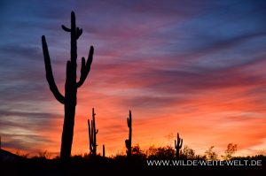 Saguaro-Sunset-Jim-Kortsen-West-Pinal-Park-Stanton-Arizona-300x199 Saguaro Sunset