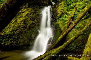 Hemlock-Falls-Little-River-Area-Umpqua-National-Forest-Oregon-13-300x199 Hemlock Falls