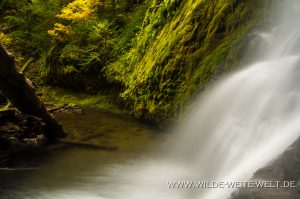 Hemlock-Falls-Little-River-Area-Umpqua-National-Forest-Oregon-14-300x199 Hemlock Falls