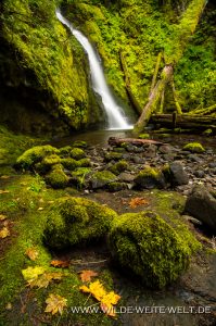 Hemlock-Falls-Little-River-Area-Umpqua-National-Forest-Oregon-199x300 Hemlock Falls