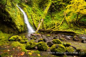 Hemlock-Falls-Little-River-Area-Umpqua-National-Forest-Oregon-2-300x199 Hemlock Falls