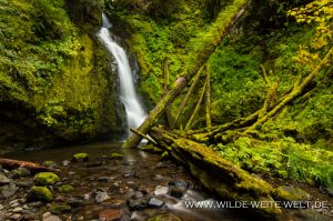 Hemlock-Falls-Little-River-Area-Umpqua-National-Forest-Oregon-3-300x199 Hemlock Falls