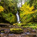Hemlock-Falls-Little-River-Area-Umpqua-National-Forest-Oregon-2 Hemlock Falls [Lake in the Woods]