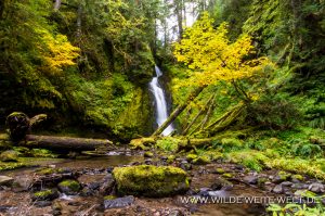 Hemlock-Falls-Little-River-Area-Umpqua-National-Forest-Oregon-9-300x199 Hemlock Falls