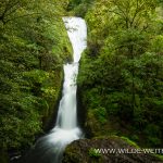Bridal-Veil-Falls-Columbia-River-Gorge-Oregon-3 Bridal Veil Falls [Columbia River Gorge, Bridal Veil Creek]