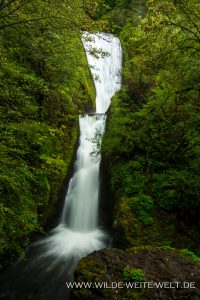 Bridal-Veil-Falls-Columbia-River-Gorge-Oregon-4-200x300 Bridal Veil Falls