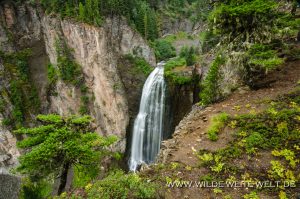 Clear-Creek-Falls-Wenatchee-National-Forest-White-Pass-Washington-3-300x199 Clear Creek Falls