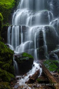 Fairy-Falls-Columbia-River-Gorge-Oregon-11-200x300 Fairy Falls