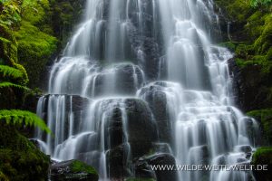 Fairy-Falls-Columbia-River-Gorge-Oregon-3-300x200 Fairy Falls