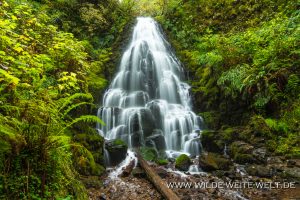 Fairy-Falls-Columbia-River-Gorge-Oregon-300x200 Fairy Falls