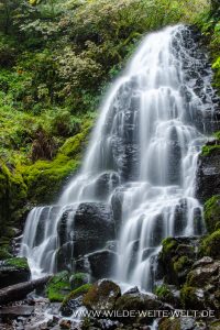 Fairy-Falls-Columbia-River-Gorge-Oregon-6-200x300 Fairy Falls