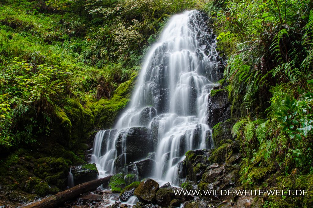 Fairy-Falls-Columbia-River-Gorge-Oregon Fairy Falls [Columbia River Gorge, Wahkeena Creek]
