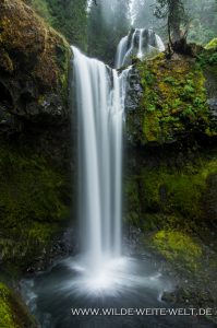 Falls-Creek-Falls-Gifford-Pinchot-National-Forest-Washington-10-199x300 Falls Creek Falls
