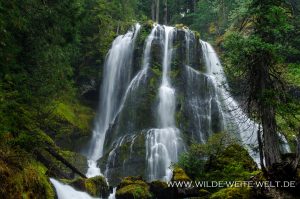 Falls-Creek-Falls-Gifford-Pinchot-National-Forest-Washington-12-300x199 Falls Creek Falls