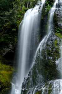Falls-Creek-Falls-Gifford-Pinchot-National-Forest-Washington-19-199x300 Falls Creek Falls