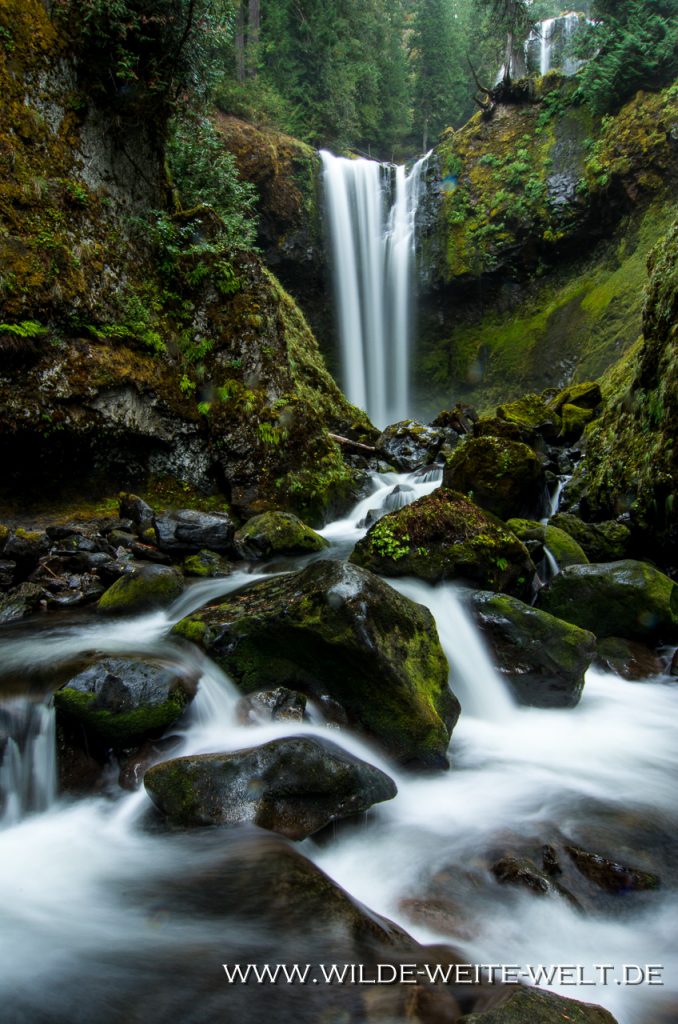 Falls-Creek-Falls-Gifford-Pinchot-National-Forest-Washington-5 Falls Creek Falls [Gifford Pinchot National Forest]