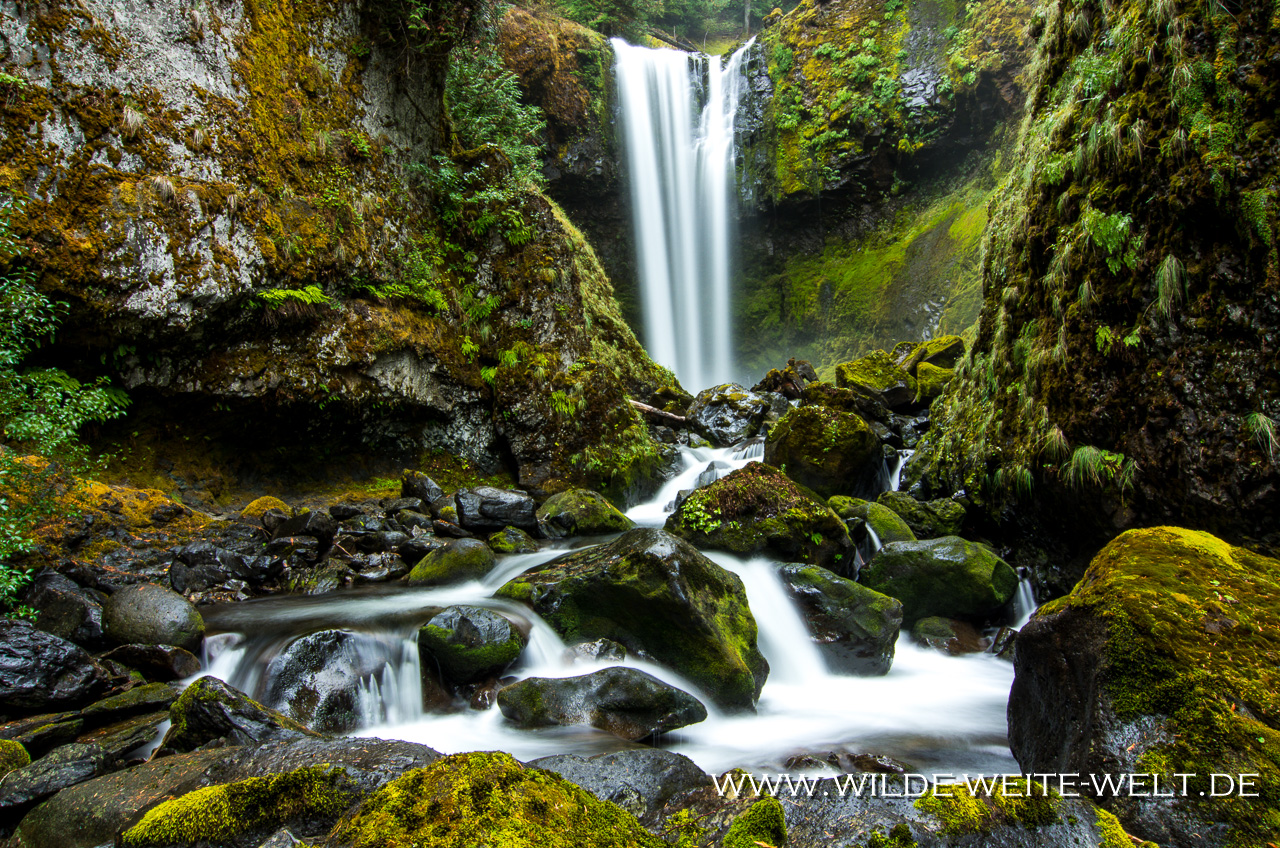Falls Creek Falls - Gifford-Pinchot National Forest, Washington