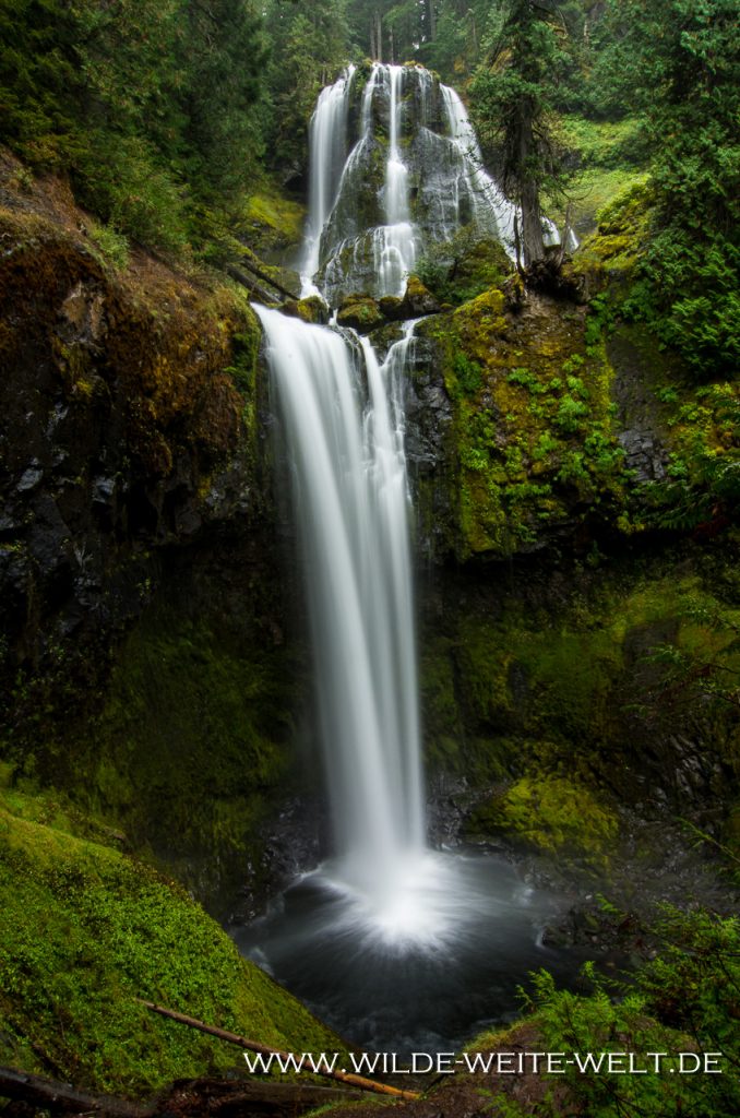 Falls-Creek-Falls-Gifford-Pinchot-National-Forest-Washington-5 Falls Creek Falls [Gifford Pinchot National Forest]