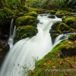 Hidden Falls - Snoqualmie, Washington