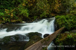 Hidden-Falls-Snoqualmie-Washington-3-300x199 Hidden Falls