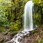 Lancester-Falls-Mt-Defiance-Trail-Columbia-River-Gorge-Oregon-5 Lancester Falls [Columbia River Gorge, Starvation Creek]
