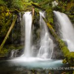 Lower-Panther-Creek-Falls-Gifford-Pinchot-National-Forest-Washington Lower Panther Creek Falls [Gifford Pinchot National Forest]