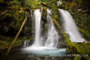 Lower-Panther-Creek-Falls-Gifford-Pinchot-National-Forest-Washington-11-300x200 Lower Panther Creek Falls