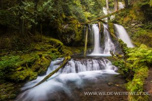 Lower-Panther-Creek-Falls-Gifford-Pinchot-National-Forest-Washington-2-300x200 Lower Panther Creek Falls