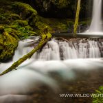 Lower-Panther-Creek-Falls-Gifford-Pinchot-National-Forest-Washington Lower Panther Creek Falls [Gifford Pinchot National Forest]